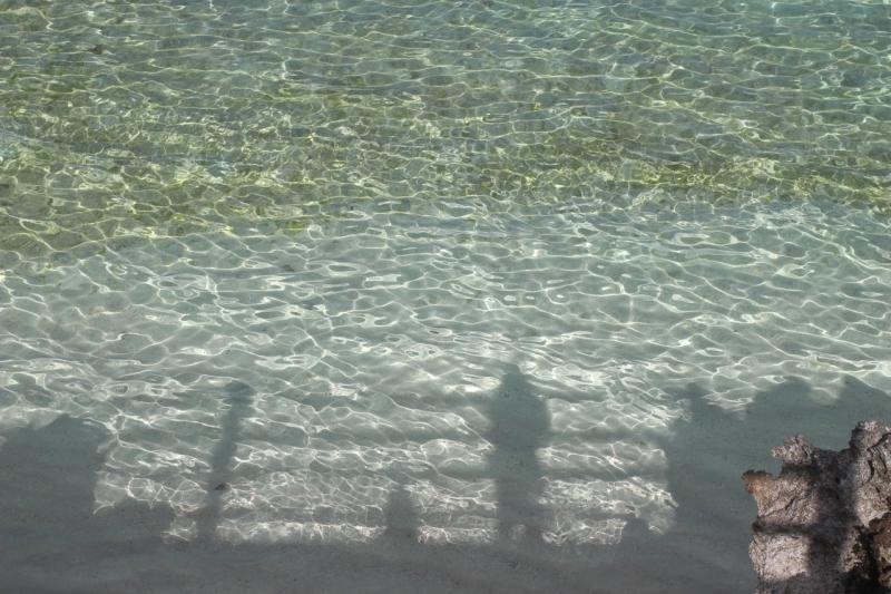 よく目を凝らすと魚たちが見えます。抜群の透明度！