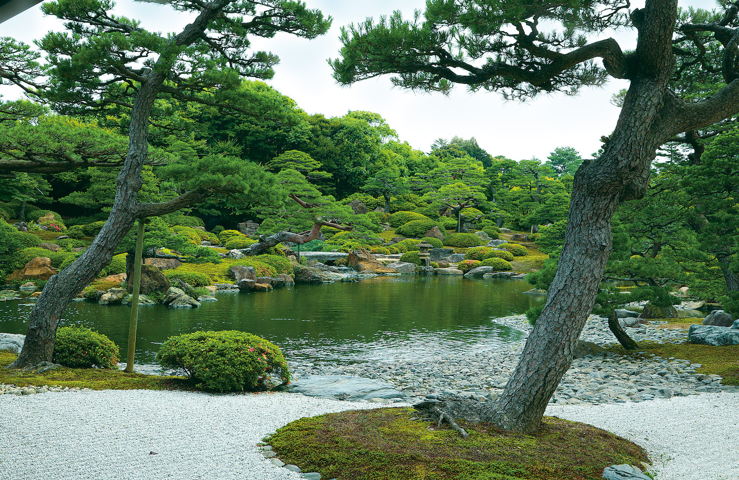 緑が濃い夏の庭園