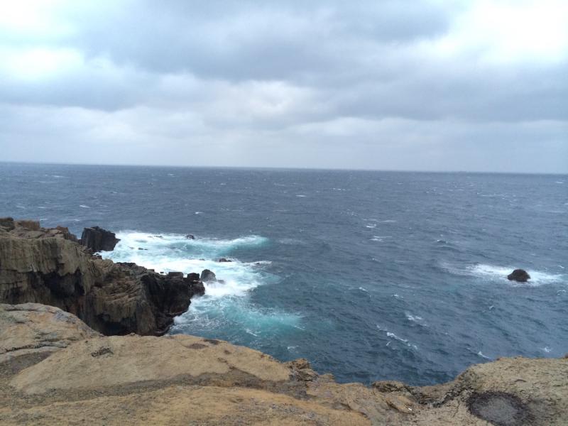 日本海の水平線が眺められる