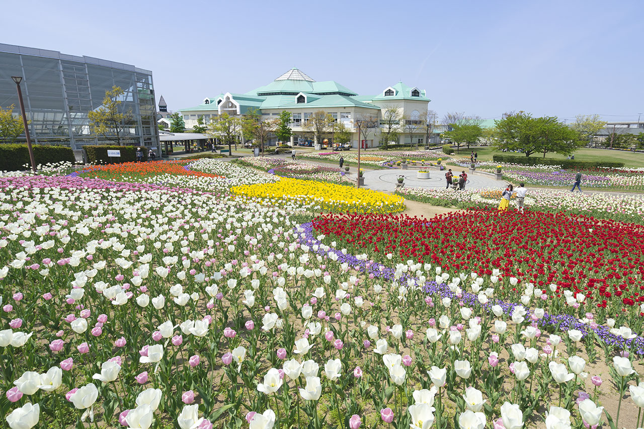 四季折々の花が楽しめる花畑。特にチューリップが咲いている光景は見事