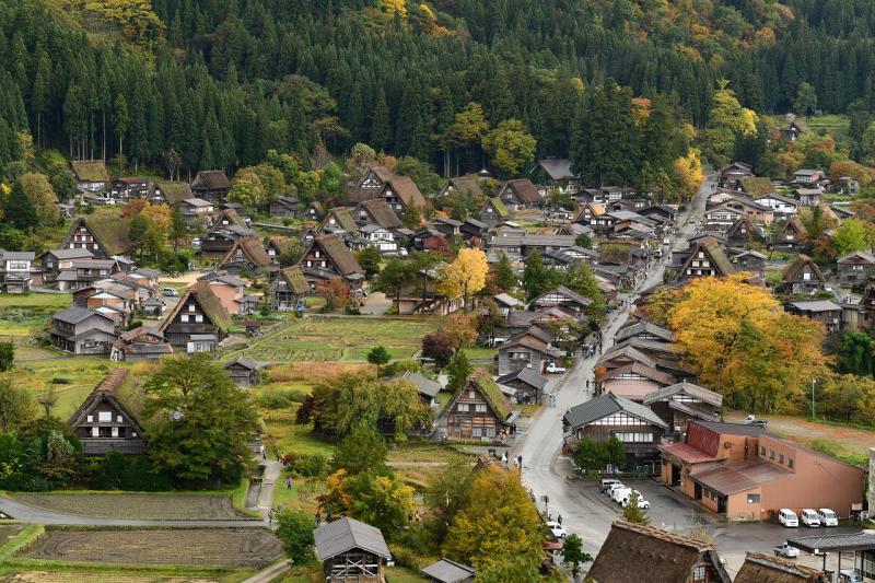 展望台より秋の合掌集落
