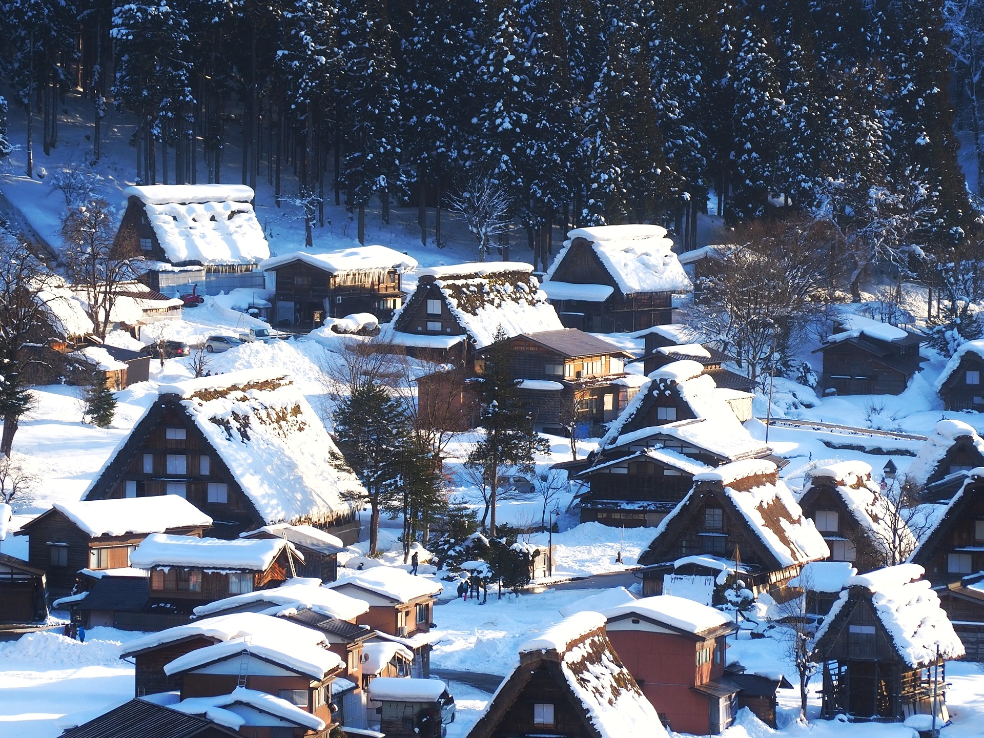 真っ白に雪化粧した集落