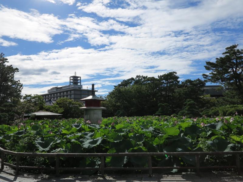 四季折々の植物が咲き誇る園内