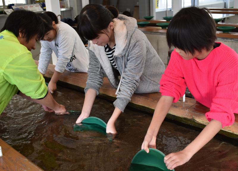 大人も子供も夢中になっちゃいます！