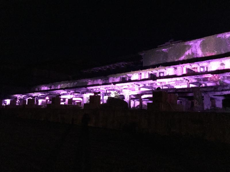 昼間とは違う幻想的な景色をお楽しみください