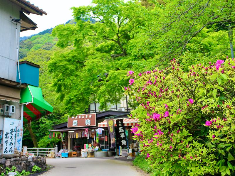 新緑や紅葉シーズンも楽しめる （滝エリア）