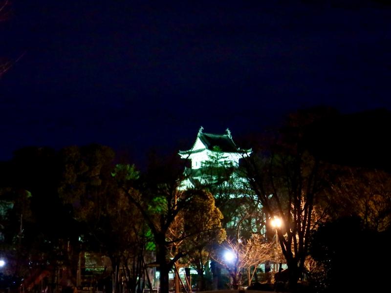 大垣公園より。夜間ライトアップされた大垣城