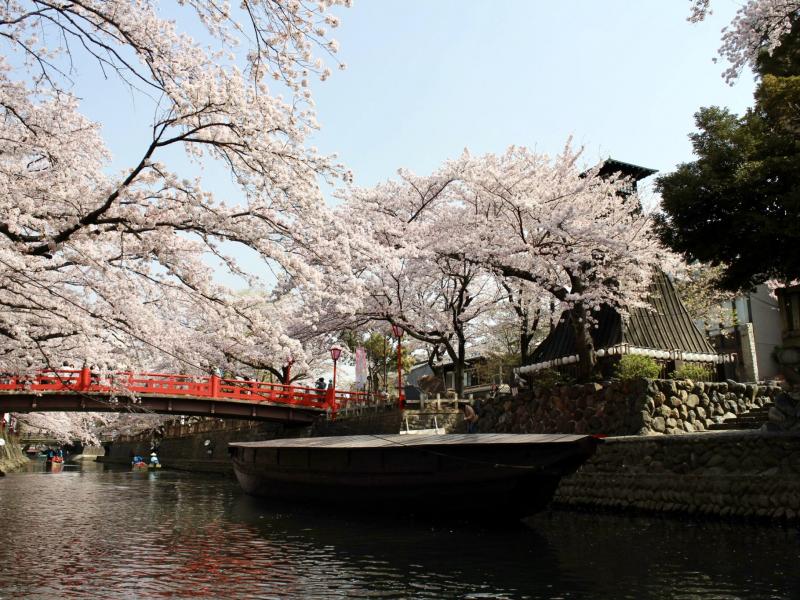 桜満開の船町川湊と住吉灯台