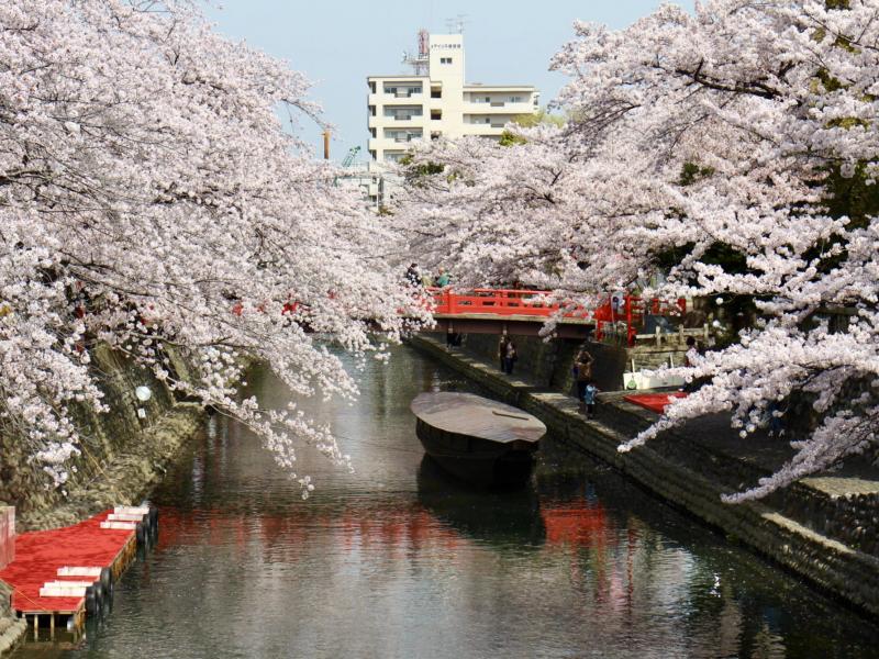 川湊に隣接する南側から見る風景もおすすめ