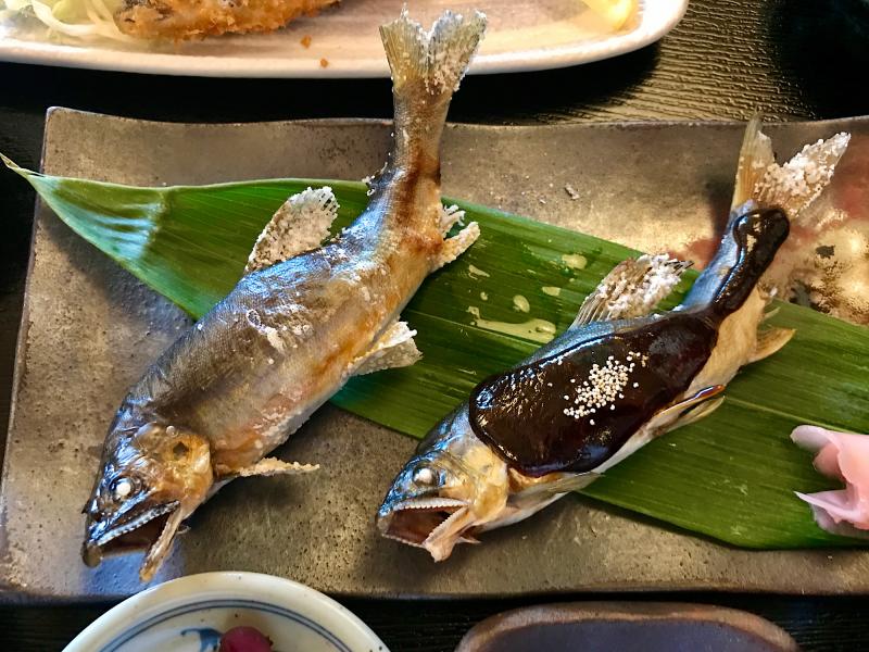 吉田川産の天然鮎「郡上鮎」は夏の風物詩