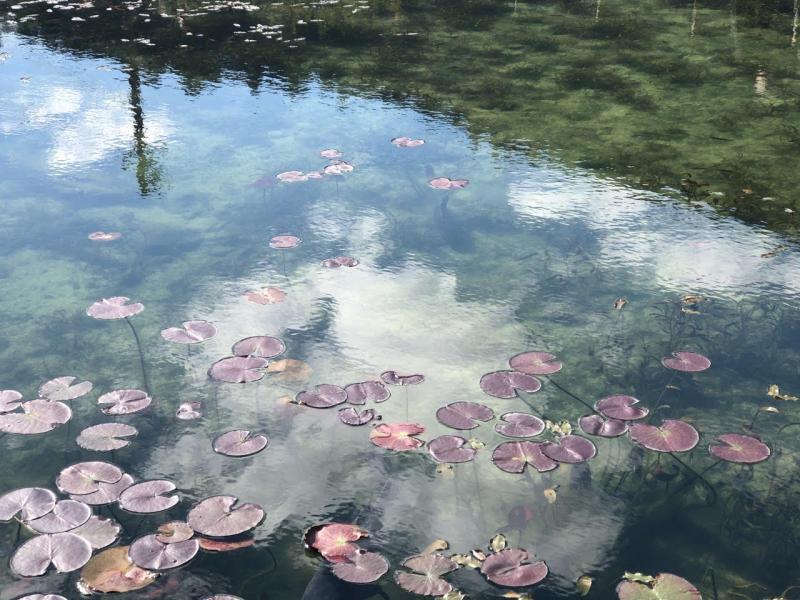 空の色を映す透明感