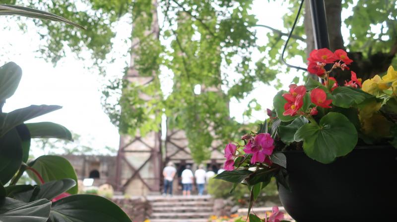 インスタ映えする花の寄せ植えなど、丁寧に飾られています♪