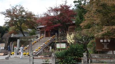 修禅寺は紅葉が美しい場所ですが、年中楽しめる比較的静かな場所です♪