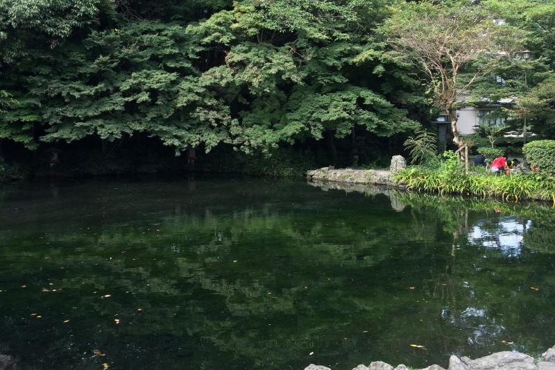 湧玉池（わくたまいけ）の清らかな水は、約15年前に富士山に降り注いだもの。