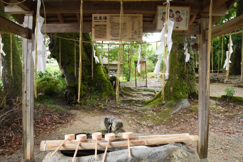 三朝神社の手水舎は温泉！　飲泉もできます♪