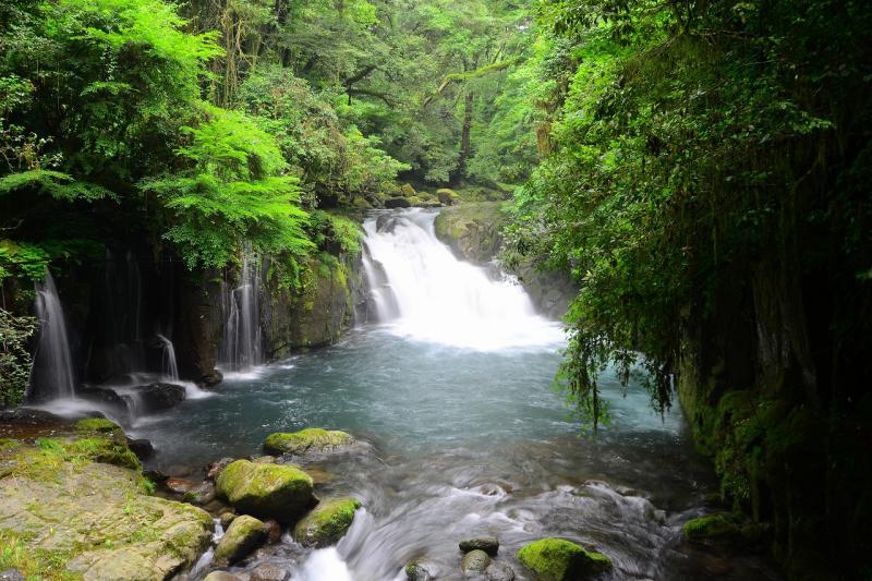 竜ヶ渕・天狗滝は木々が鬱蒼として神秘的な雰囲気があります