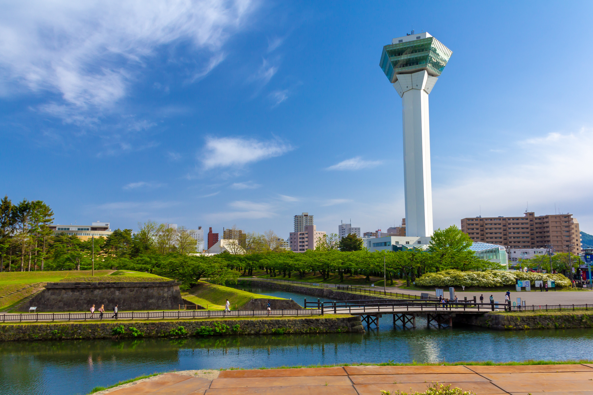 函館・大沼_五稜郭タワー_遊び・体験_1