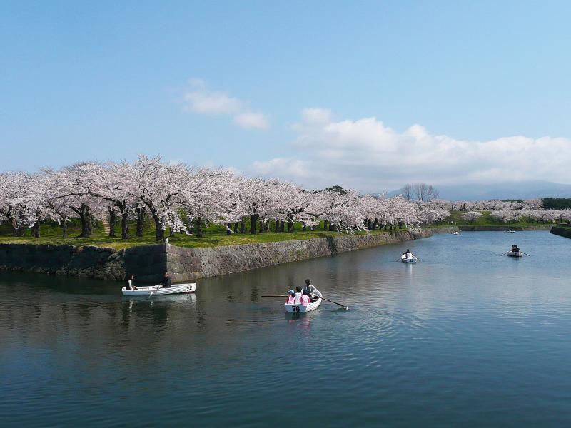 北海道_五稜郭公園（五稜郭跡）_遊び・体験_3