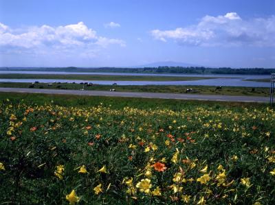 北海道_網走国定公園小清水原生花園_遊び・体験_1