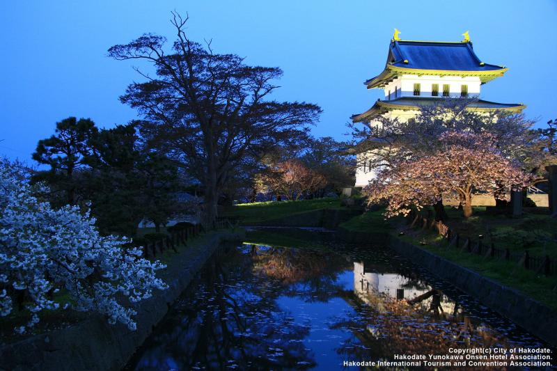 北海道_松前城_遊び・体験_2
