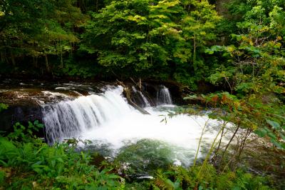 釧路・阿寒・摩周_さくらの滝_遊び・体験_1