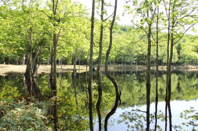 北海道_ポンホロ沼_遊び・体験_1