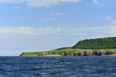 知床・網走_知床岬_遊び・体験_1