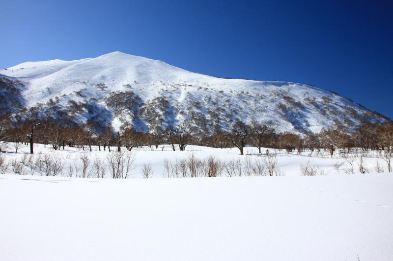 ニセコ・支笏・洞爺・登別_ニセコアンヌプリ_遊び・体験_1