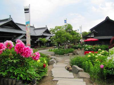 北海道_にしん御殿小樽貴賓館（旧青山別邸）_遊び・体験_1