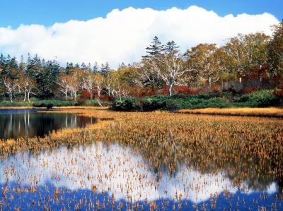 北海道_神仙沼_遊び・体験_1