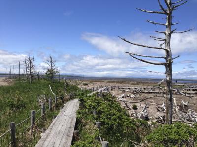 北海道_野付半島_遊び・体験_1