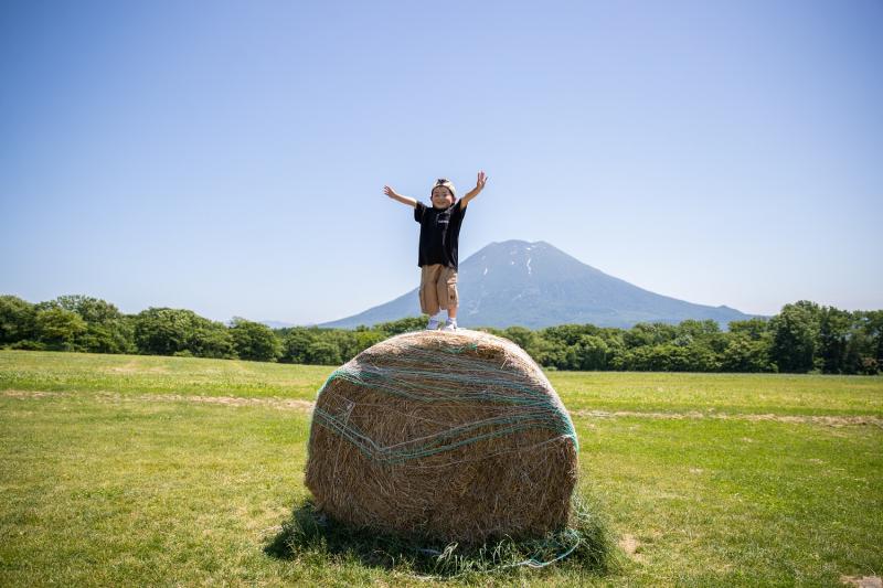 北海道_ニセコ高橋牧場_遊び・体験_1