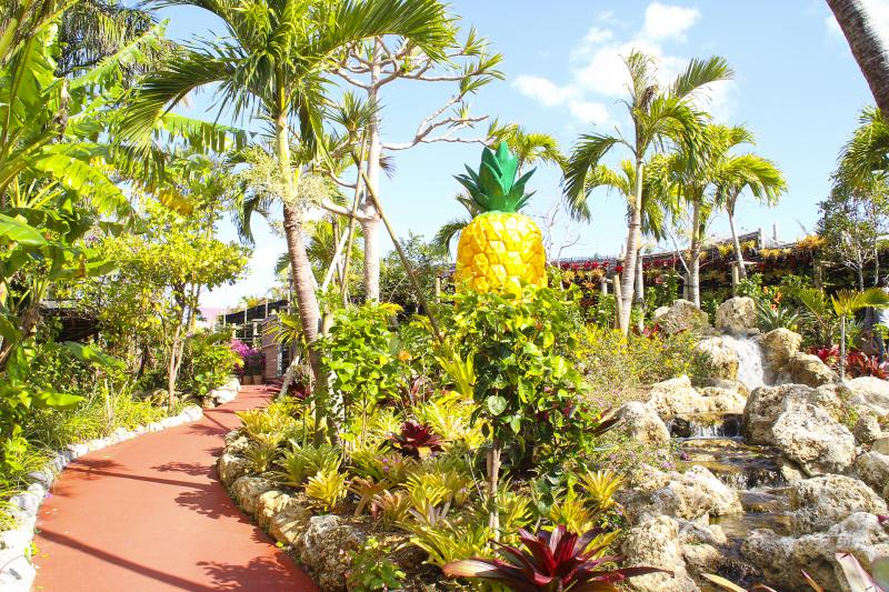 沖縄県_ナゴパイナップルパーク_遊び・体験_1