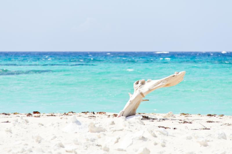 沖縄_ハテの浜_遊び・体験_5