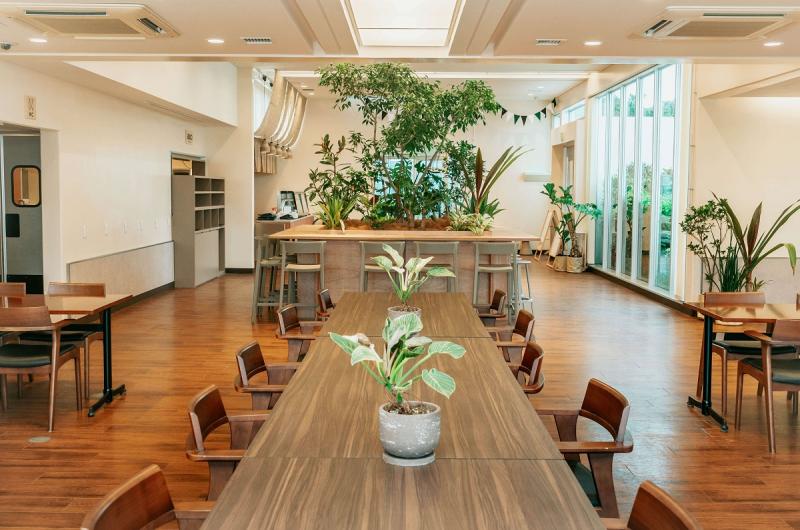 沖縄_なごアグリパーク_遊び・体験_4