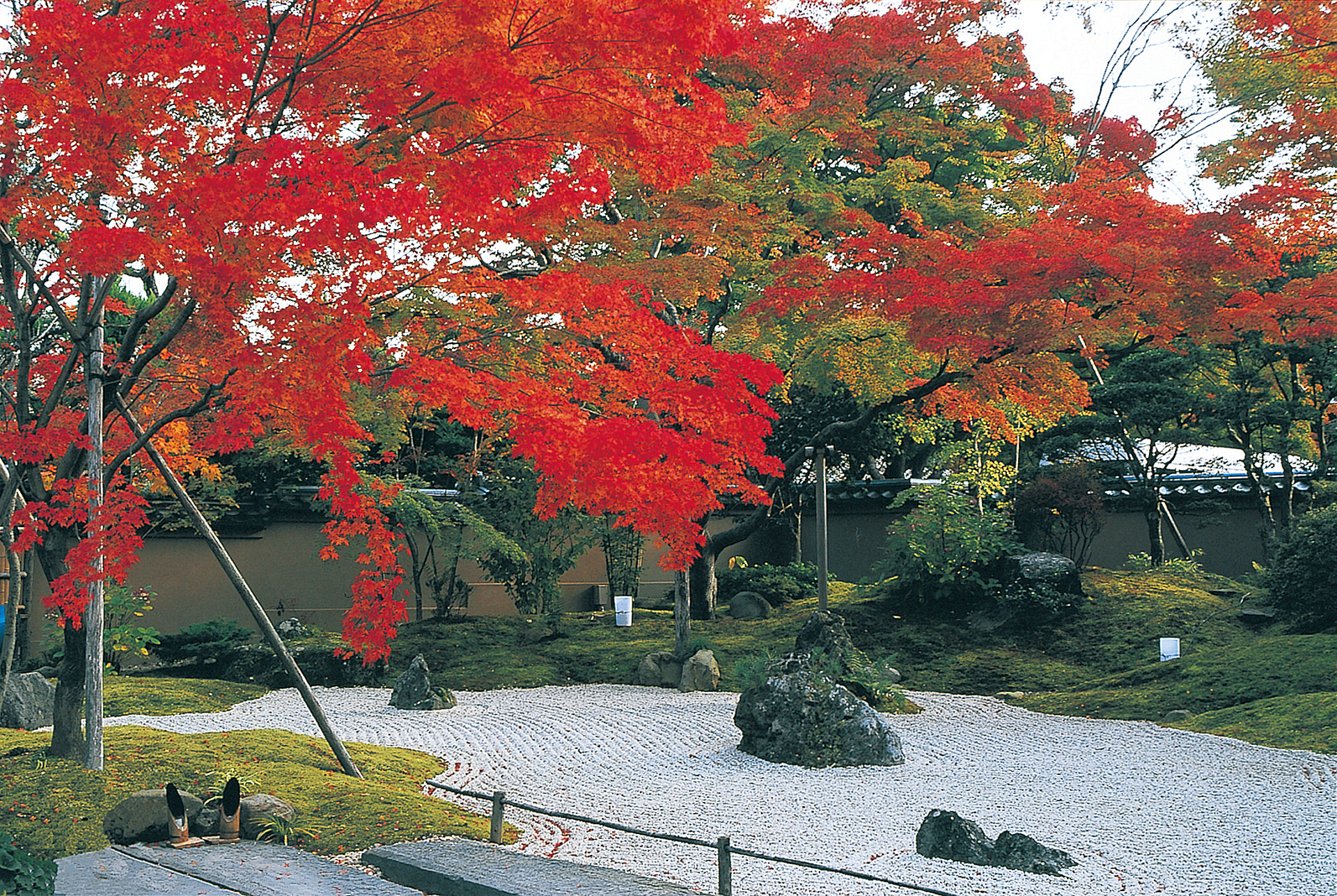 宮城_円通院_遊び・体験_1