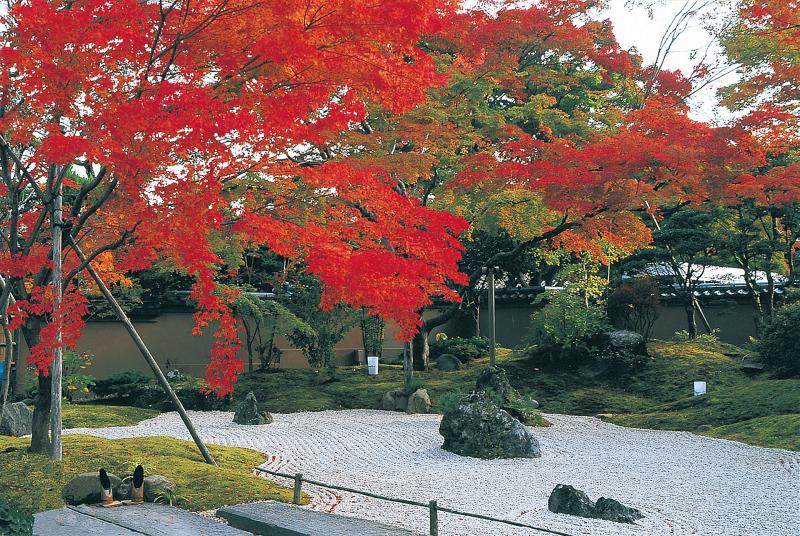 宮城_円通院_遊び・体験_1