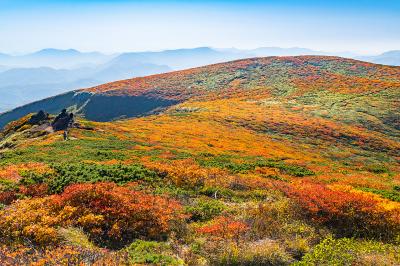 宮城_栗駒山_遊び・体験_1