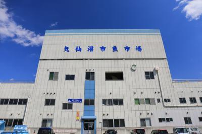 宮城_気仙沼市魚市場_遊び・体験_1