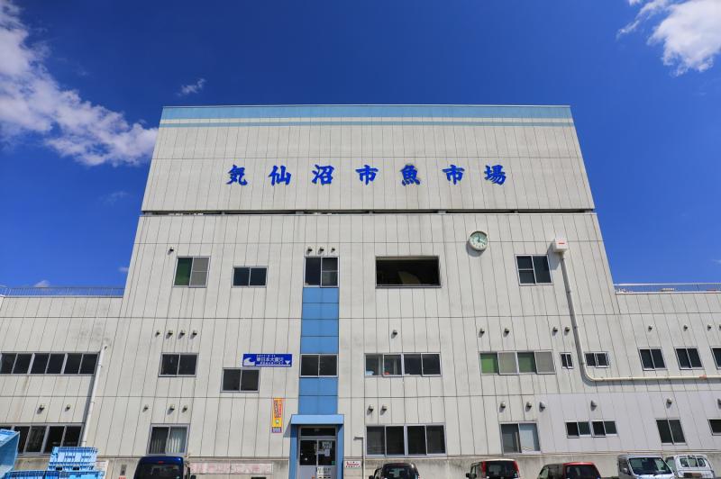 宮城_気仙沼市魚市場_遊び・体験_1