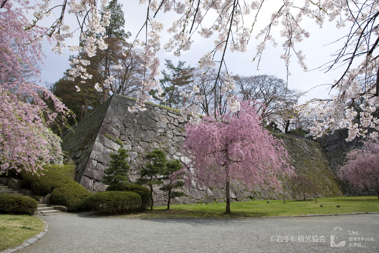 岩手_盛岡城跡公園（岩手公園）_遊び・体験_1