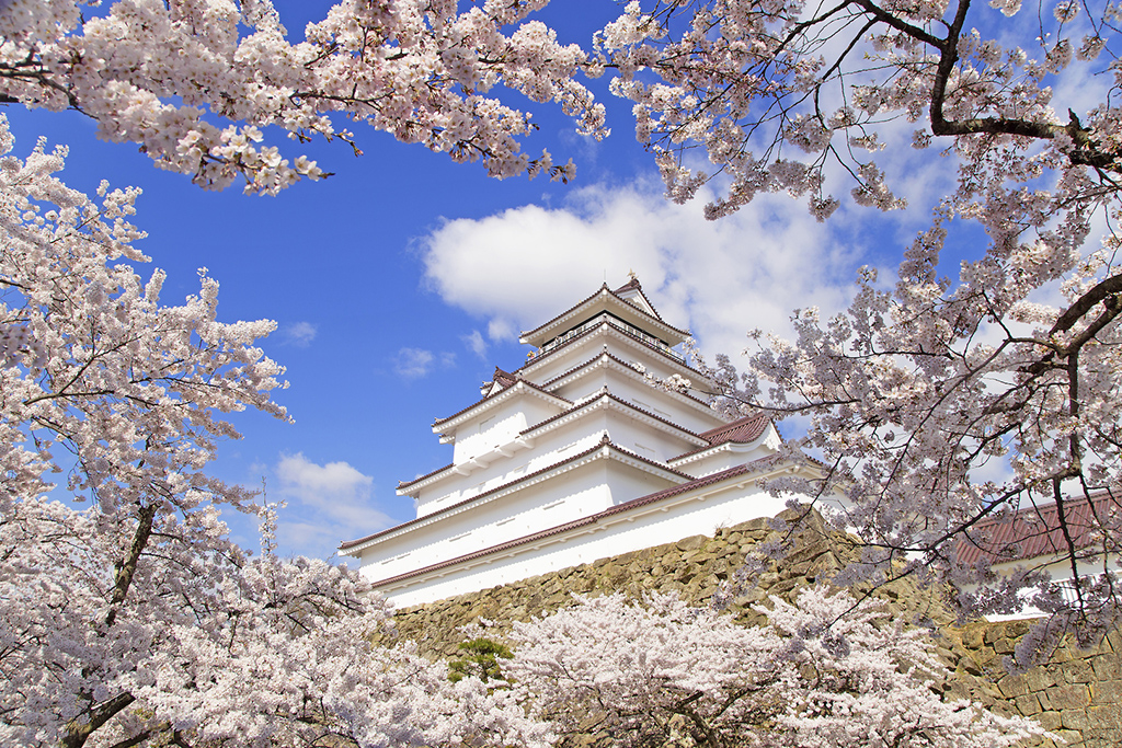 福島_鶴ヶ城（若松城）_遊び・体験_1