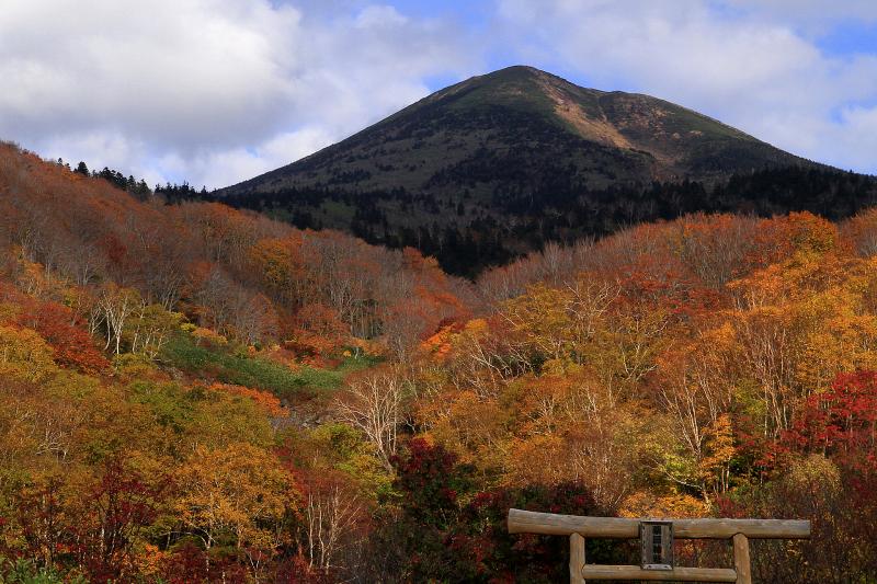 青森_八甲田山_遊び・体験_1