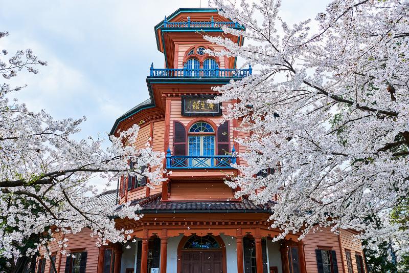 山形_山形城跡 霞城公園_遊び・体験_4