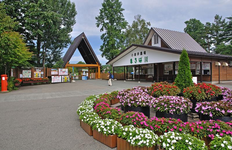 岩手_小岩井農場まきば園_遊び・体験_1