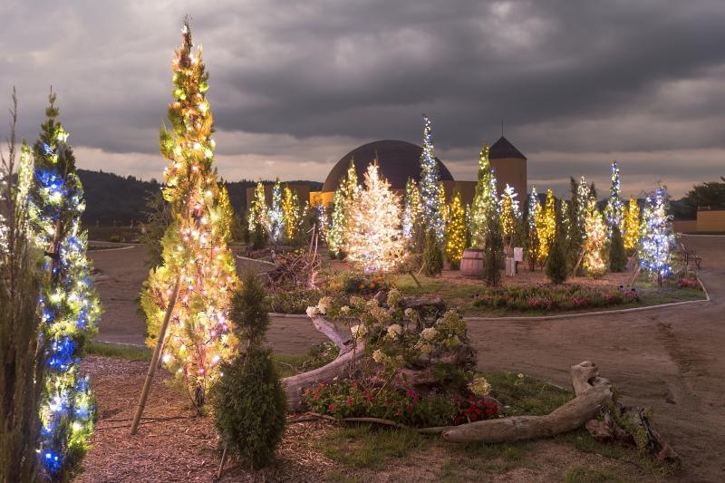 岩手_フラワー＆ガーデン森の風_遊び・体験_3