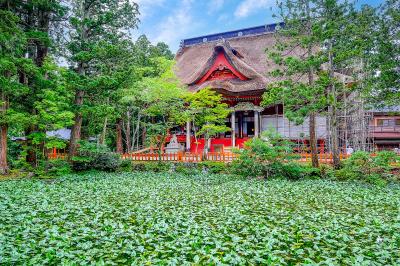 山形_出羽神社_遊び・体験_1