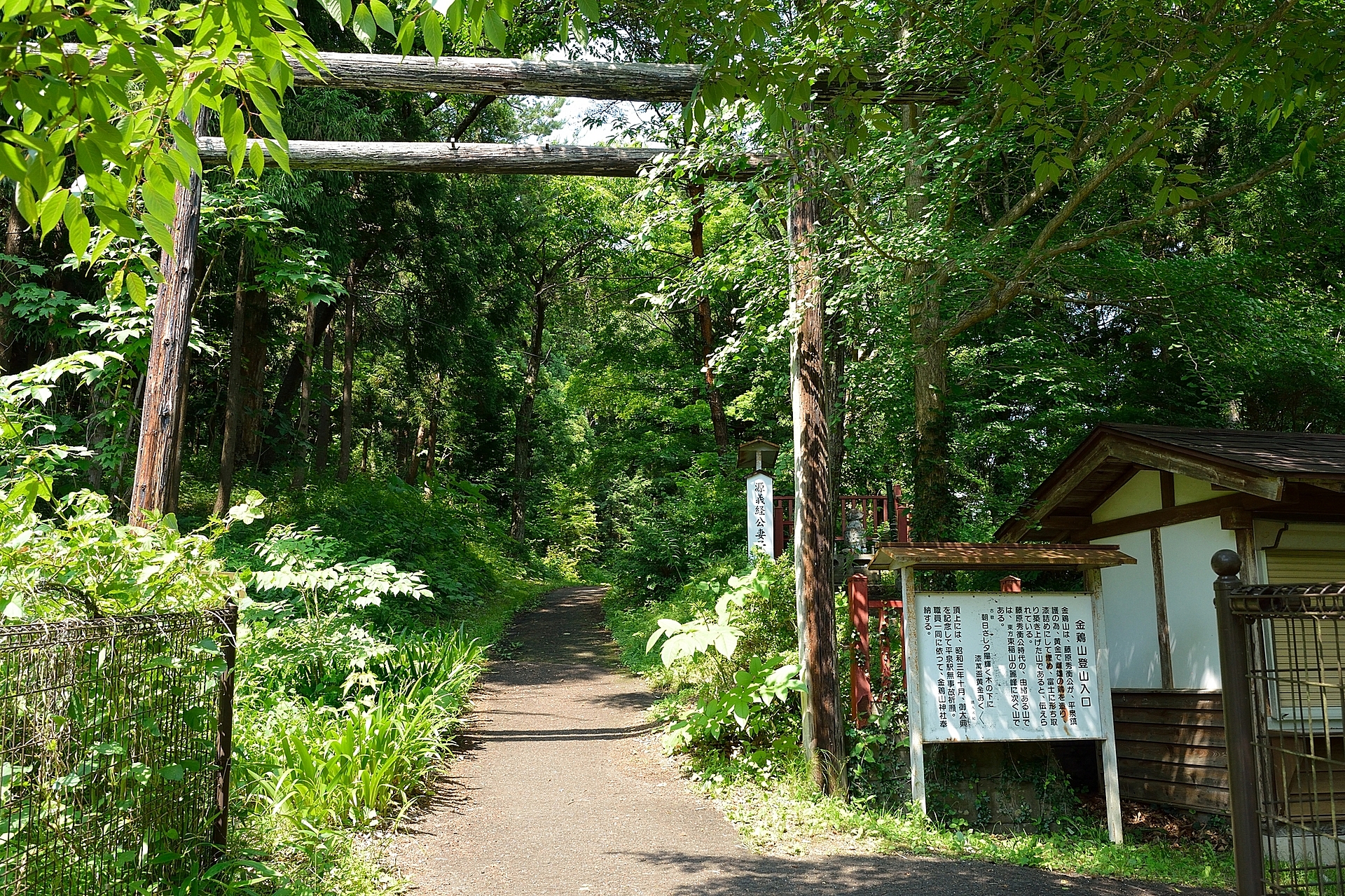 岩手_金鶏山_遊び・体験_1