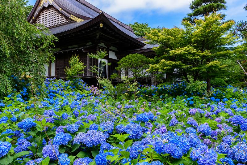 秋田_雲昌寺_遊び・体験_1