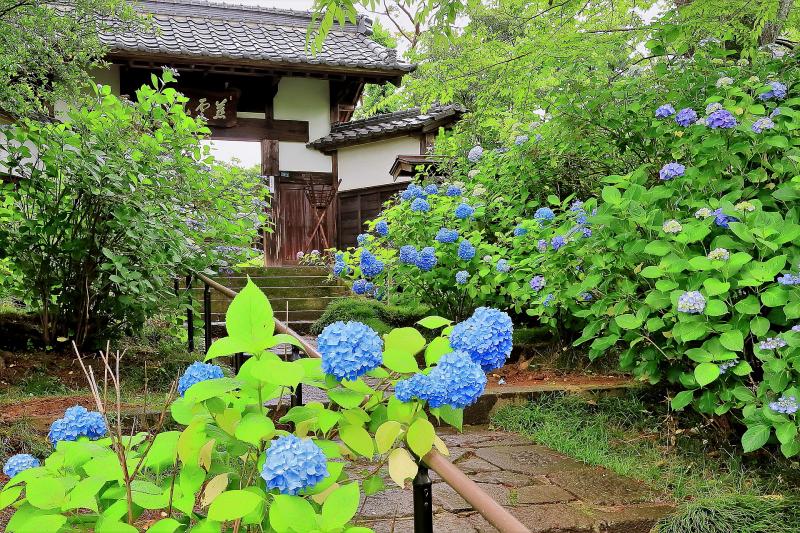 宮城_資福寺_遊び・体験_1